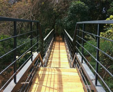 Forest Neighbourhood Project at Calicut University, Malappuram